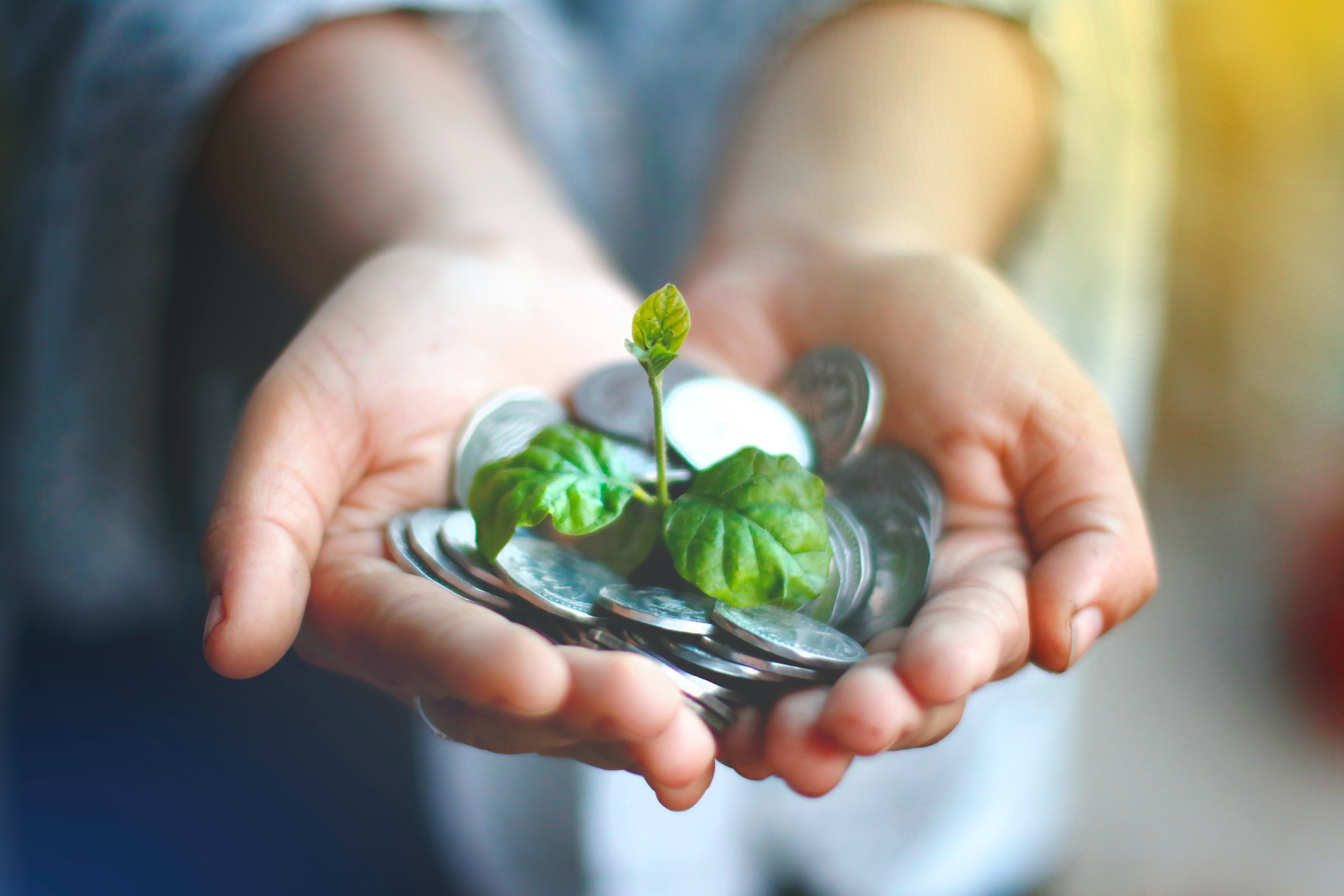 Plant sprouting from coins - from geo.coop